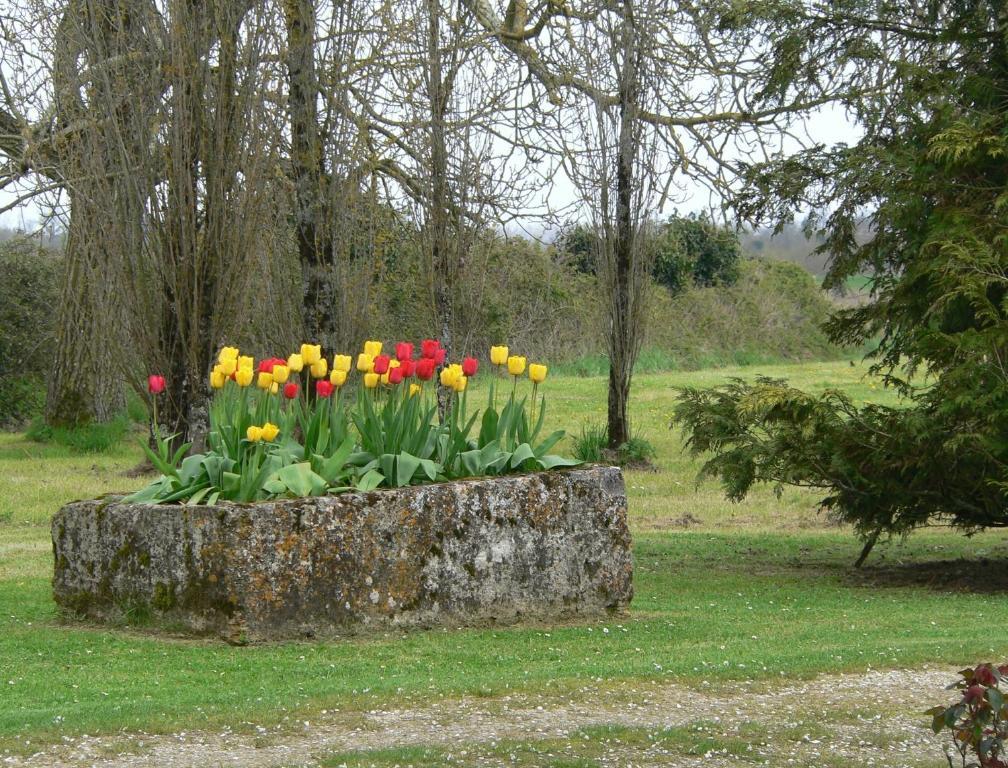 La Bribaudonniere Bed and Breakfast Saint-Palais-de-Phiolin Rum bild